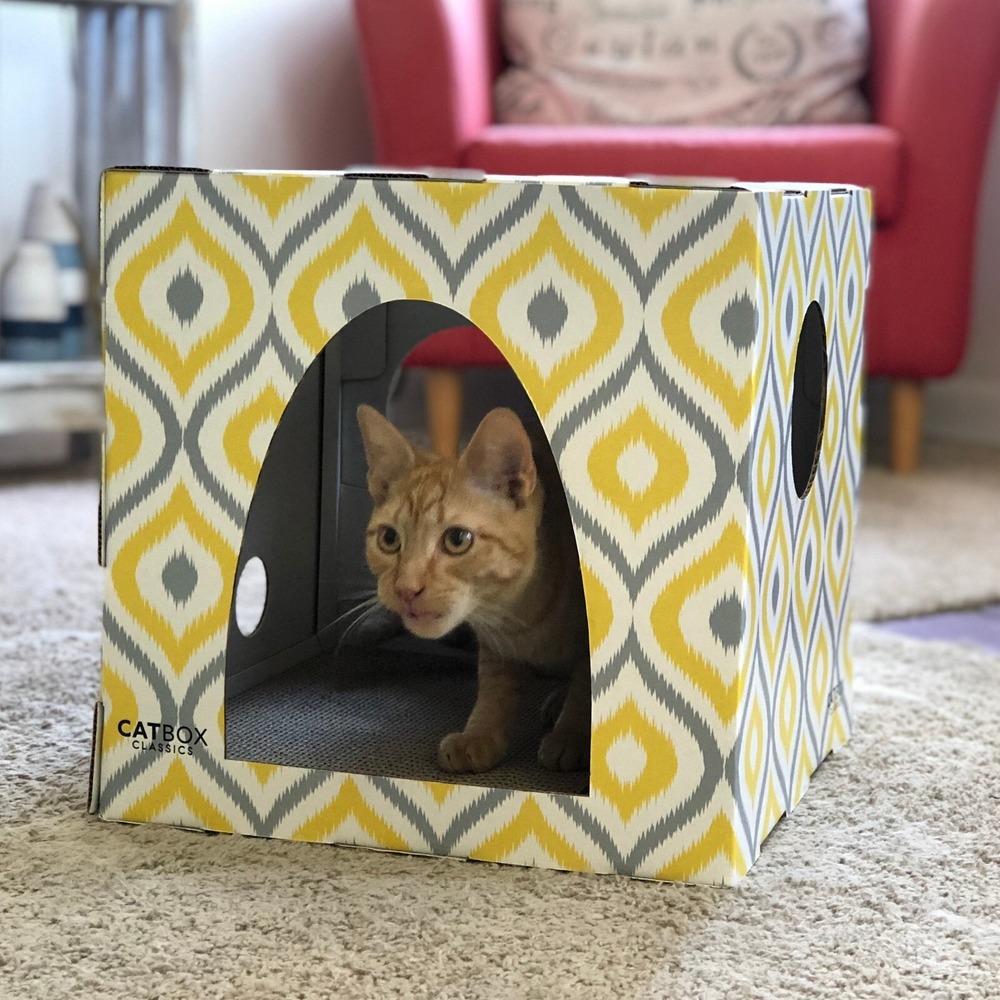Meow Yellow Cat House with Scratcher, Cat Condo, Cardboard Cat‎ Playhouse